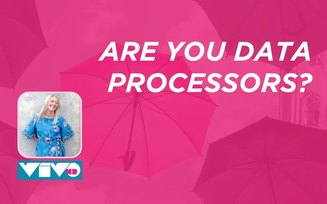 Are you data processors?