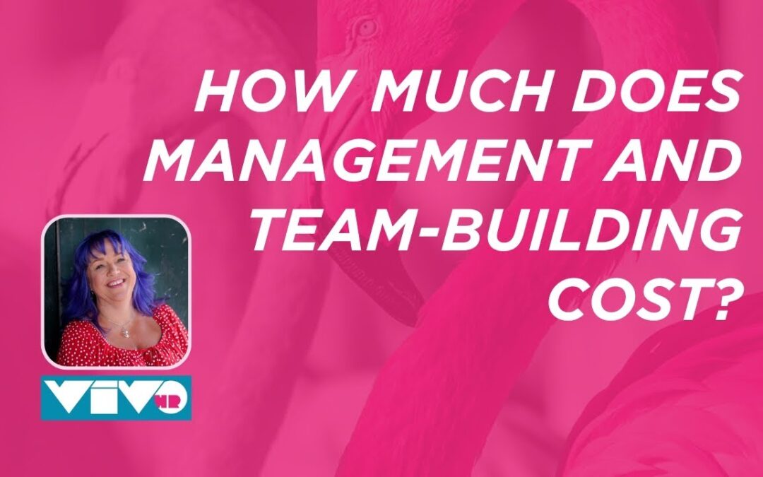 vivoHR – How much does management and team building cost?