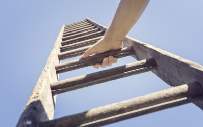 The Apprenticeship Advantage: Get Ahead of the Competition