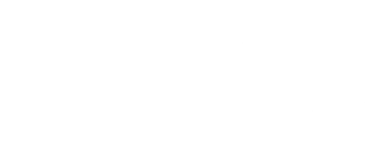 vivo footer logo